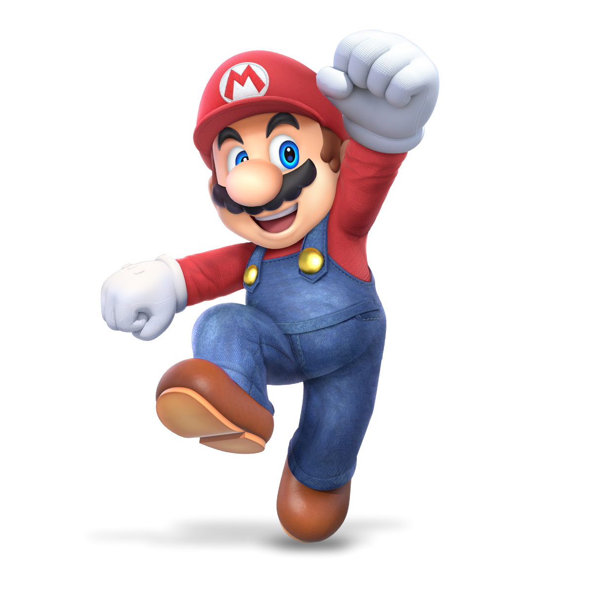 Mario brothers smash shop switch