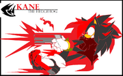 Kane the hedgehog poster by zhenghwang-d3dhl7s