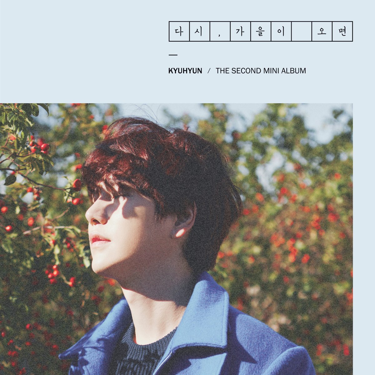 KYUHYUN | Superstar SMTOWN Wikia | Fandom