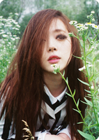 RL Sulli