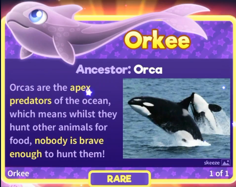 Orkee | Super Starfish Wiki | Fandom