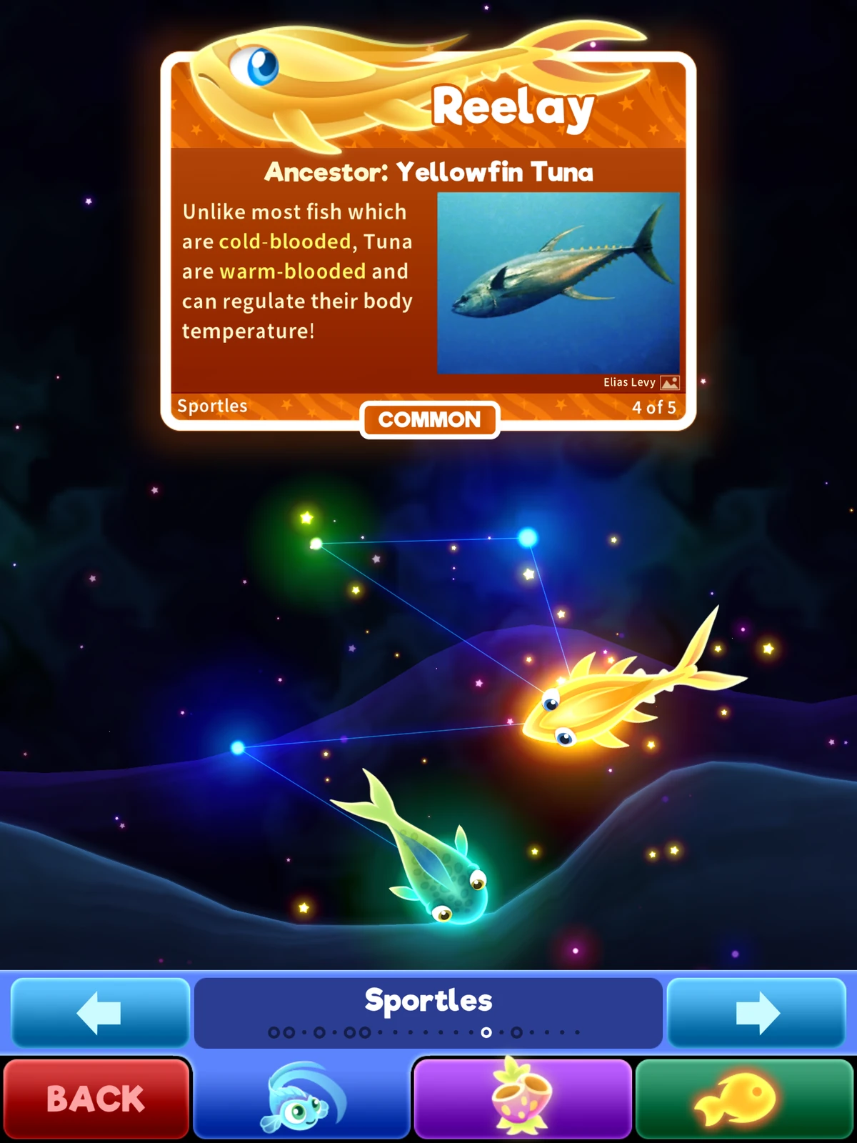 Reelay Super Starfish Wiki Fandom