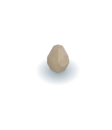 The Polaris Dragon Egg