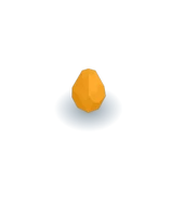 The Zebasi Dragon Egg