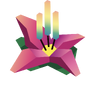 The ∑∫ỹriȱŋ Sunburst Lily