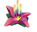 The ∑∫ỹriȱŋ Sunburst Lily