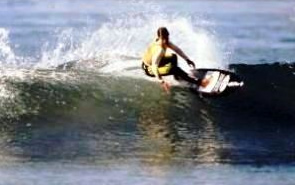 Bill Hamilton, Surferpedia - The Wiki Encyclopedia of Surfing