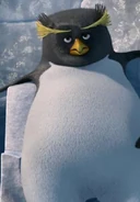 Glen bored.jpeg (61 KB)