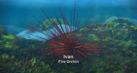 Ivan