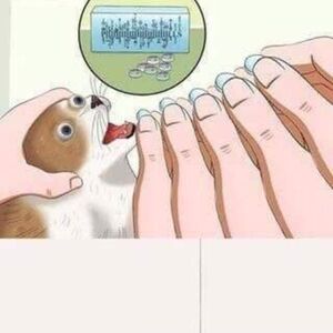 User Blog Garfielfstuff The Pill Cat Surreal Memes Wiki Fandom