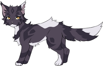 fluffy warriors wiki characters scare me : r/WarriorCats