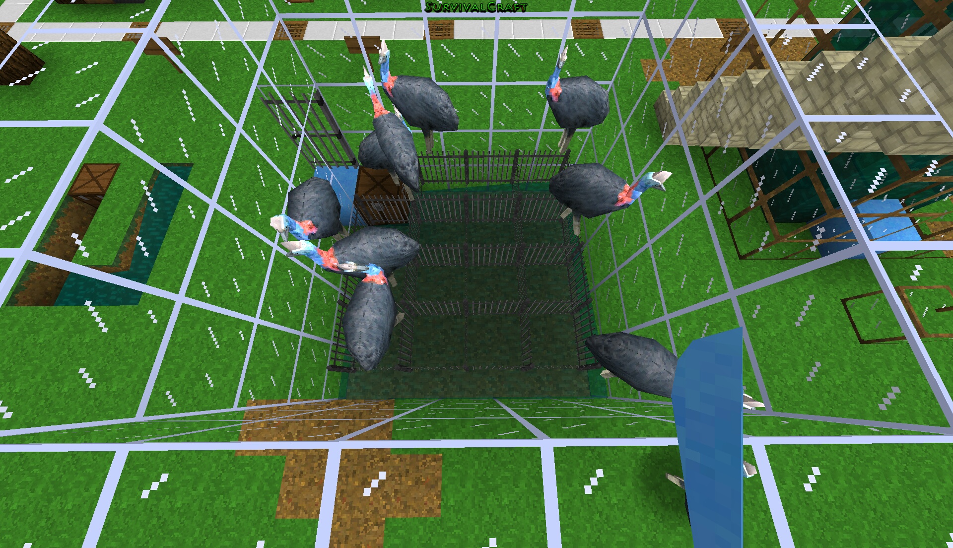 More Birds  Survivalcraft