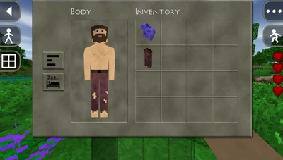 Player with the Old set of clothes semi-removed