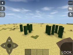 World Options, SurvivalCraft Wiki