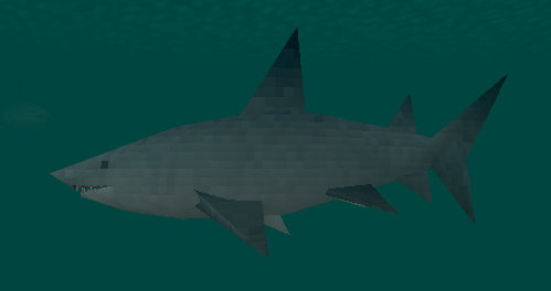 Bull Shark, SurvivalCraft Wiki