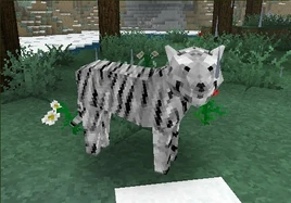NewWhiteTiger