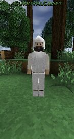 Survivalcraft 2016-08-10 00-09-50