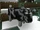 Black Cow