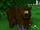 Brown Bear