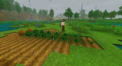 Just an average day on the pumpkin farm.