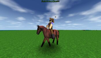 Horse, SurvivalCraft Wiki