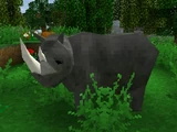 Rhino
