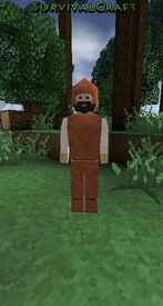 Survivalcraft 2016-08-10 00-11-27