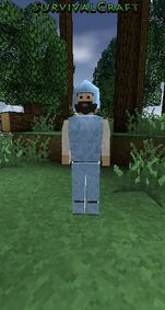 Survivalcraft 2016-08-10 00-10-40
