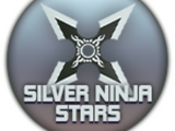 Silver Ninja Stars
