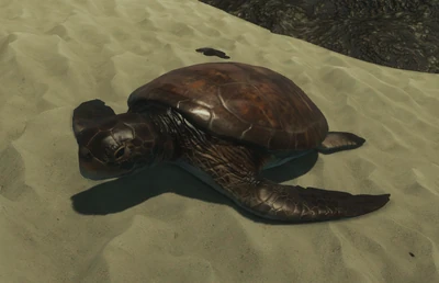 Schildkrten | The Forest Wiki | Fandom