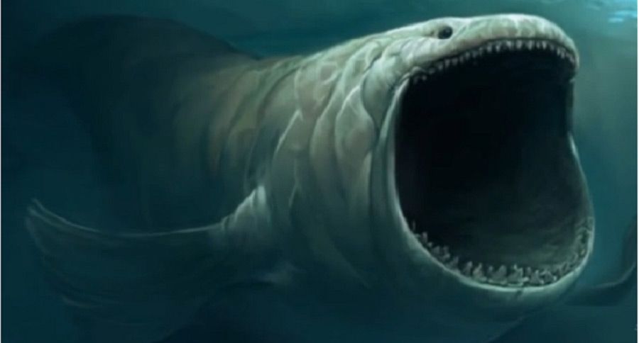 The Bloop | Wiki Survive The Sea Monsters Roblox | Fandom