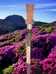 The torch design of Survivor-Wikia: Korea