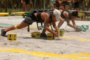 The Merged Tribe competing in the Reward Challenge, Bungee Running.