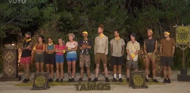 Tribe