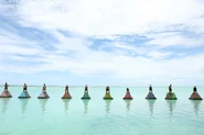 SM3C2 Jaguar IIC.jpg (100 KB) Jaguares competing in the Individual Immunity Challenge, Sea Legs.
