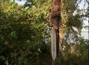 RuthMarie'sTorch.jpg (66 KB) Ruth Marie's torch in the Rites of Passage.