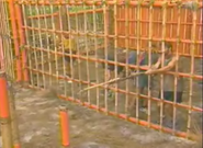 Chauy Gahn at the Immunity Challenge, Jail Break.