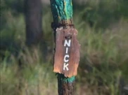 Nick torch.png (435 KB) Nick's torch.