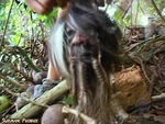 Survivor: Panama Hidden Immunity Idol, a shrunken head.