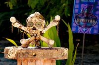 Survivor: Winners at War Immunity Idol.