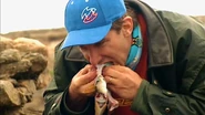 Rob eating raw fish.