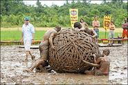 The challenge comes to a standstill in Philippines.