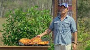 Jeff tempts the castaways down with pizzas.