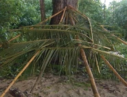 Viveros.Shelter.png (1.81 MB) Viveros's shelter.