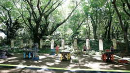 S3Ep23 Immunity 900x506