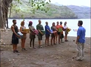 The Immunity Challenge.