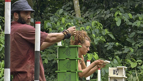 House of Cards | Survivor Wiki | Fandom