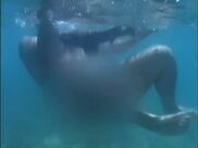Richard was bitten by the shark