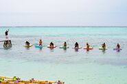 Viakana competing in Starfish for reward.