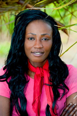 La Revanche des Héros